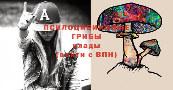 бошки Абинск