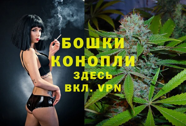 ГАЛЛЮЦИНОГЕННЫЕ ГРИБЫ Абаза