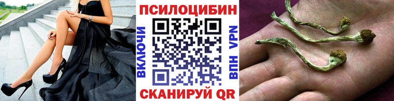 Псилоцибиновые грибы прущие грибы  Сокол 