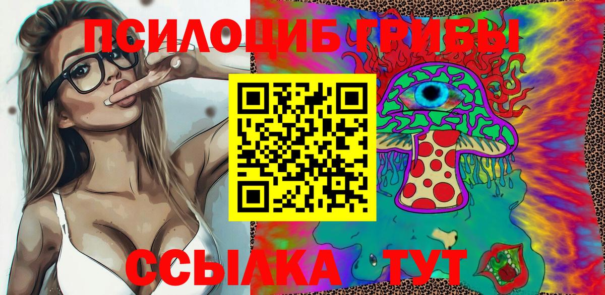 купить наркоту  Вход с VPN  Сокол  Галлюциногенные грибы Psilocybe 